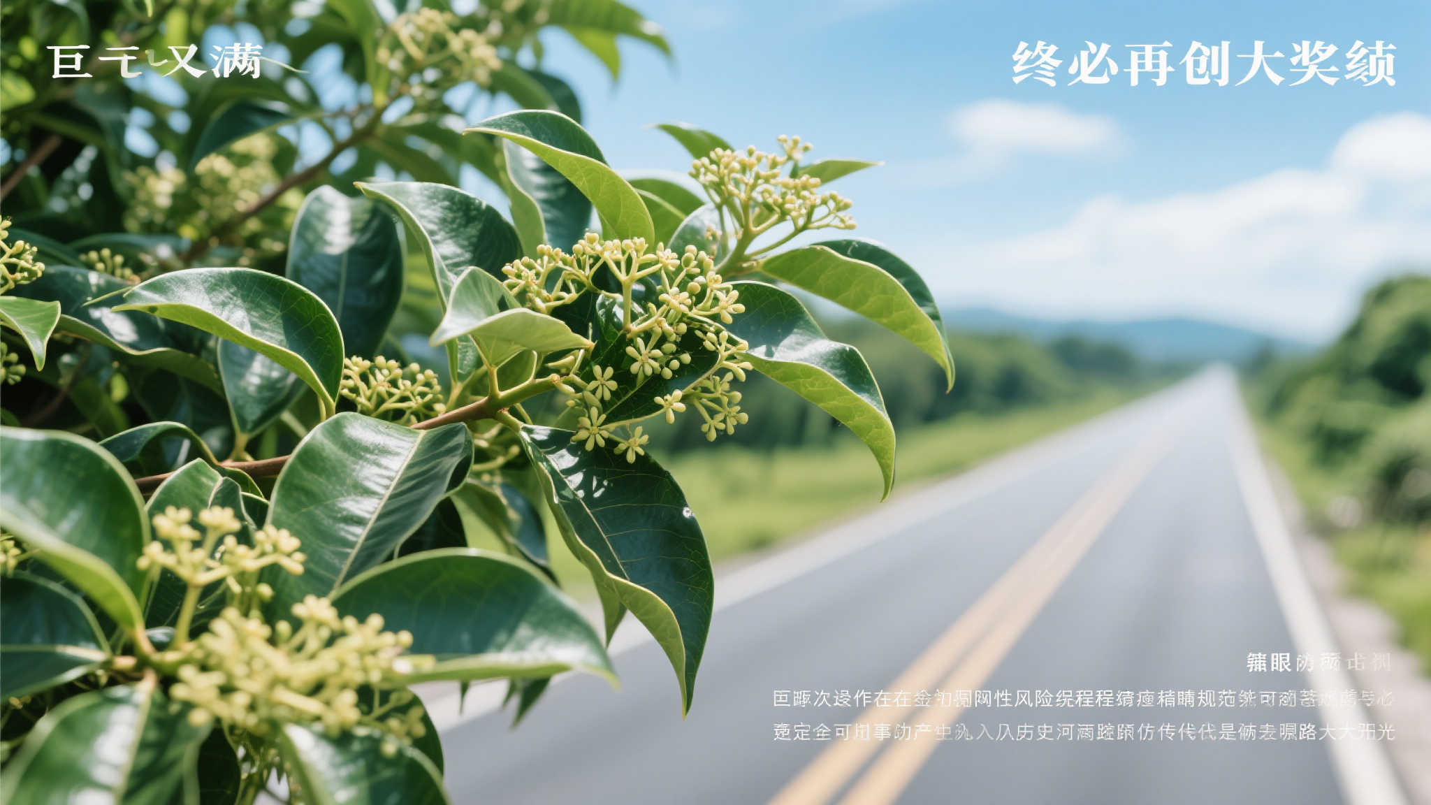 赏金女王